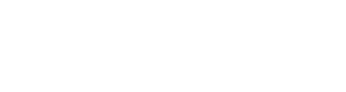 FlotaIA